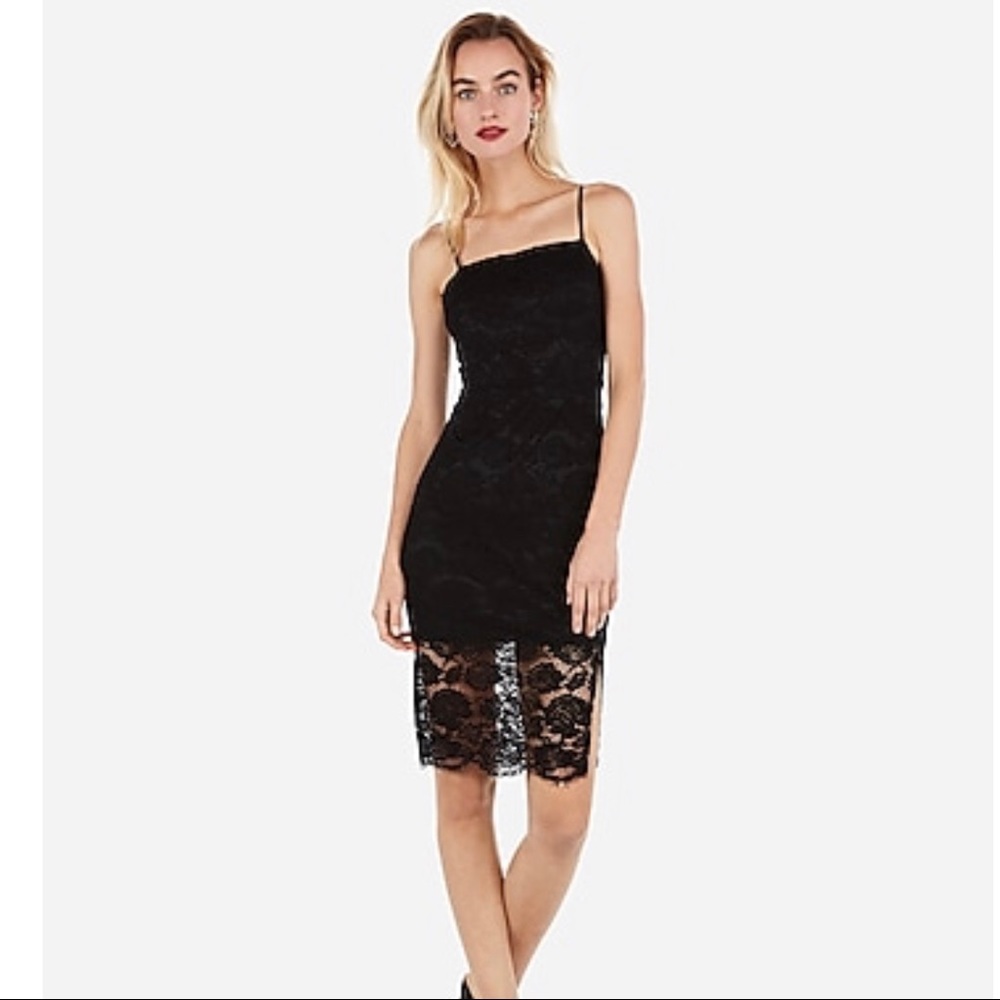 NWT Lace sheat dress